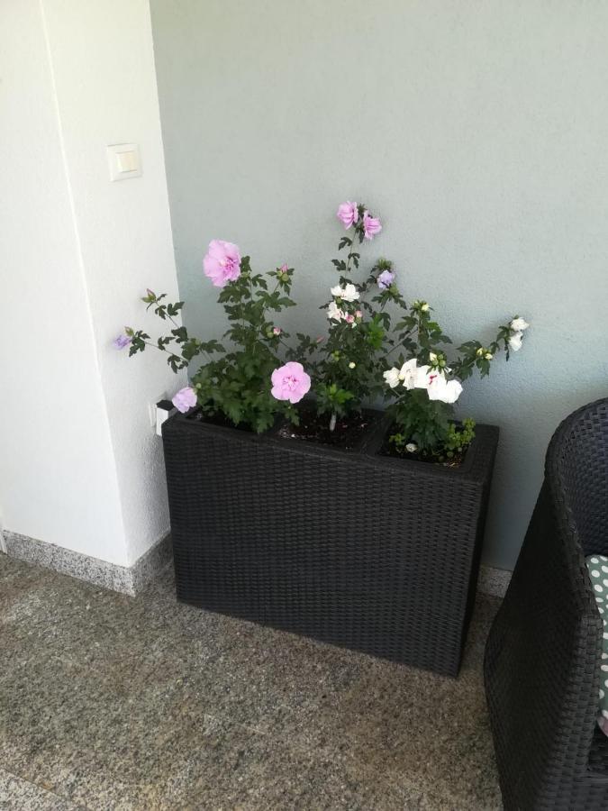 Apartman Vidos *