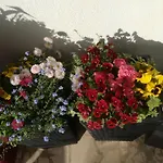 Apartmani Vidos